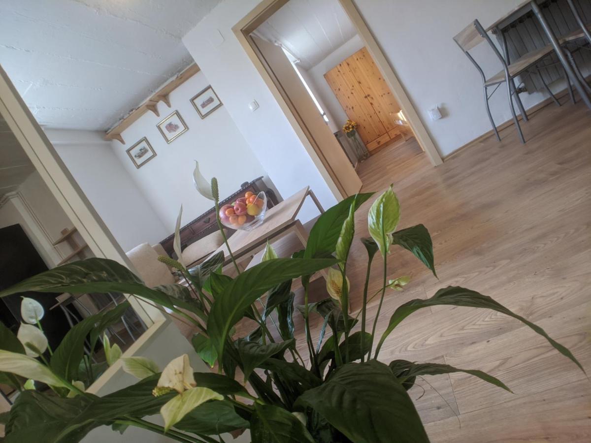 Twin-Magnolias Condo With Garden, Parking & Ev Station Zagreb Extérieur photo